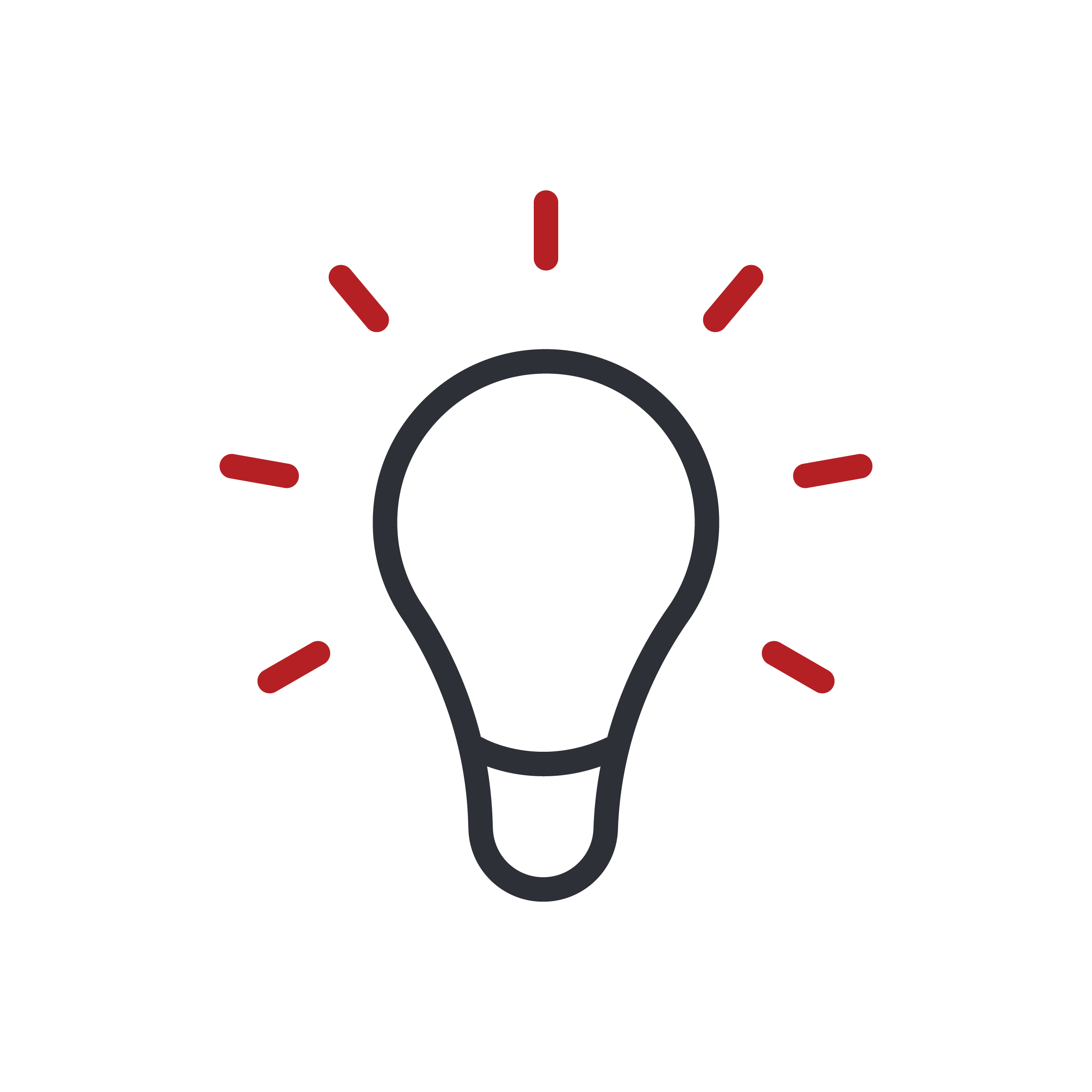 Lightbulb icon